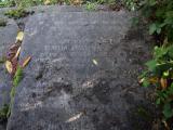 image of grave number 807029